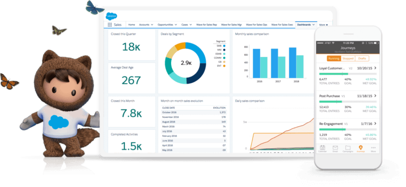 saleseforce platformas immagine rappresentaziva dei grafici